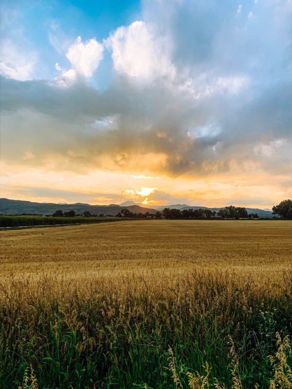Cityscape at dusk — travel portfolio